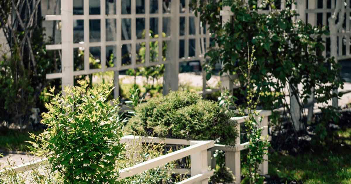 Wit latwerk en een houten schutting tussen tuinplanten