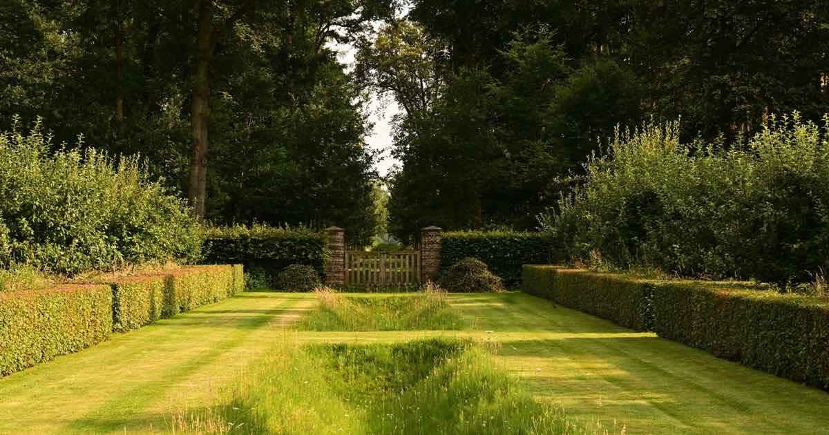 Verzorgd gazon tussen geschoren hagen