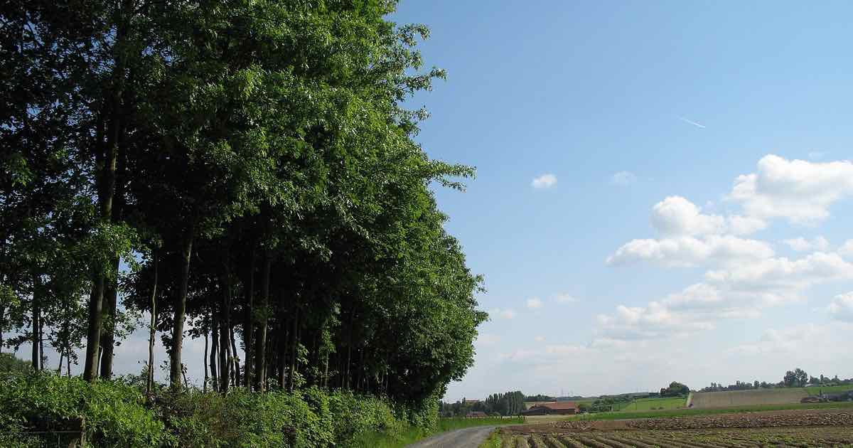 Landweg langs velden in Ingooigem (Anzegem)