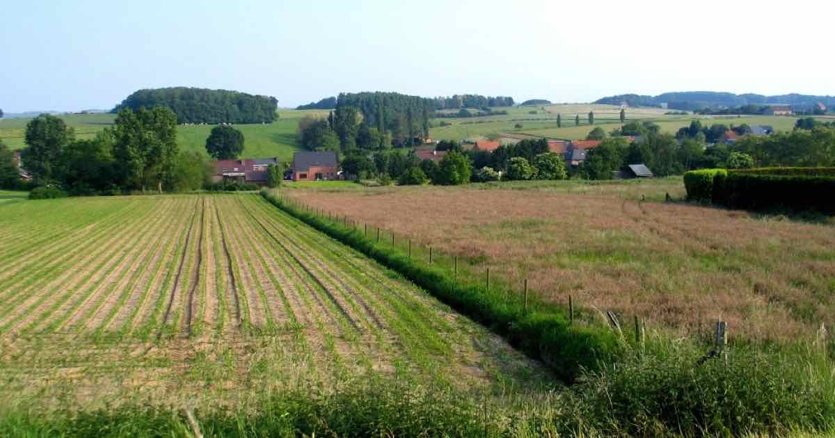 Akkers en weiden in Kaggevinne (Diest)